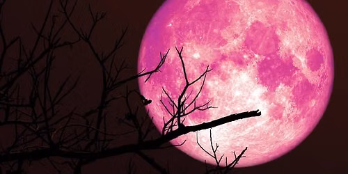 Outdoor Strawberry Full Moon Fire Burning Guided Meditation