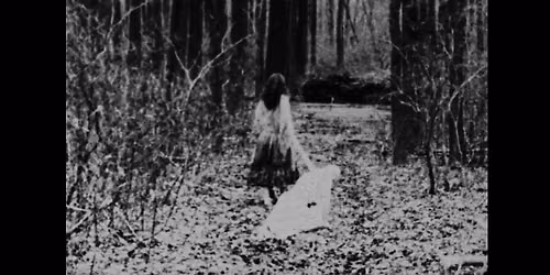 Begotten (1989)