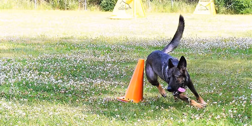 TOKO-koulutusp\u00e4iv\u00e4 \/ Saara Takku