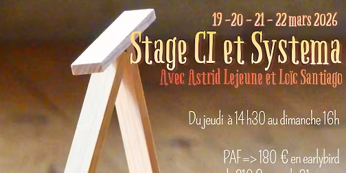 Stage CI et Systema avec Lo\u00efc Santiago et Astrid Lejeune