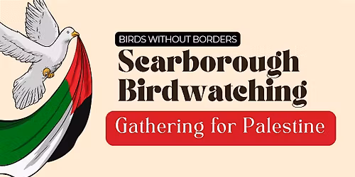Birds Without Borders : Scarborough Bird Watching*RSVP for Binoculars*