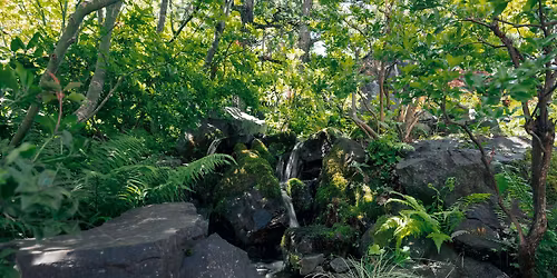 De-stress With Your Senses