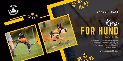 Bronsemerkekurs 11.03.2026