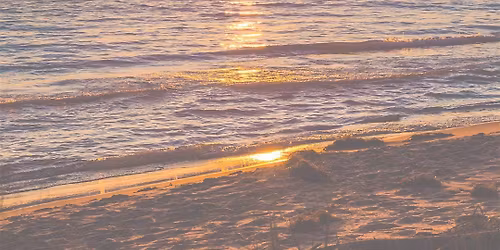 The Sunday Reset: Beach Edition