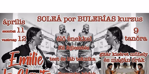 \ud83d\udc83\ud83c\udffb\ud83e\udda9 Sole\u00e1 por Buler\u00edas Emilie la Clarita kurzus Budapesten\ud83d\udc83 \u00e9l\u00f6 \u00e9nekkel \u00e9s git\u00e1rral \ud83c\udfb8   