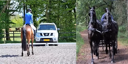 Zeebodemrit voor ruiters en menners