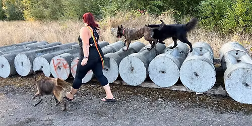 Get Your Pup in Shape! \ud83d\udc3e