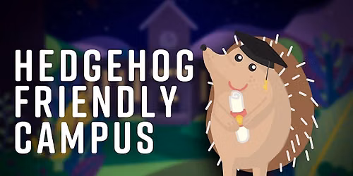 Hedgehog Friendly litter picks