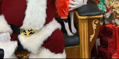 Picture Your Pets with Santa