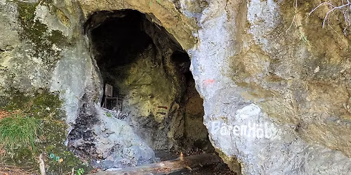 Mittwochwanderung zum B\u00e4renloch-Gamskogel