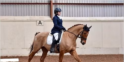 Open Dressage & Sunshine Tour Qualifier