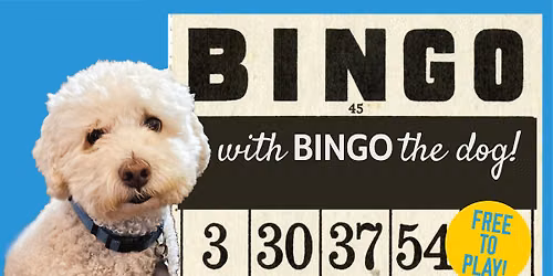 Bingo with Bingo (The Dog)