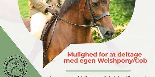 Clinic om Engelske Rideklasse (JYLLAND) \/\/ Underviser: Emma van der Burg