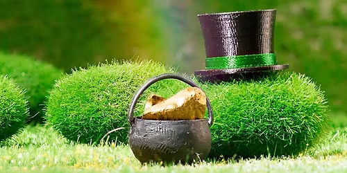 Lucky Leprechaun Adventure