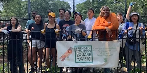 Summer Cleanup in Tompkins Square Park