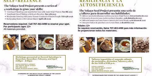 Urban Homesteading 101: Beekeeping Basics