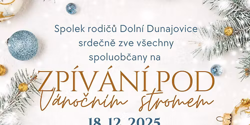 ZP\u00cdV\u00c1N\u00cd POD V\u00c1NO\u010cN\u00cdM STROMEM