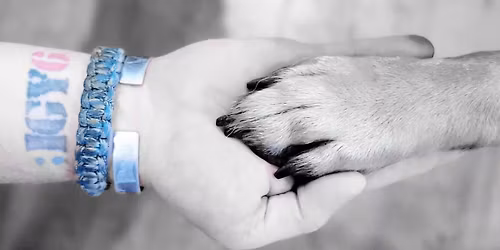 Coffee, Canines, and Camaraderie 