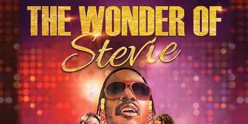 The Wonder of Stevie