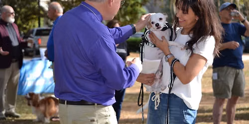 Blessing of the Animals