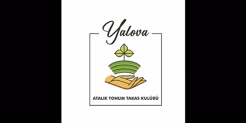 Yalova Tohum Takas \u015eenli\u011fi