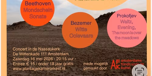 Concert Muzikale momenten van de dag