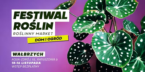 Festiwal Ro\u015blin w Wa\u0142brzychu - wielki market ro\u015blin w supercenach