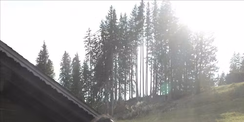 Winter Solstice Women\u2019s Circle