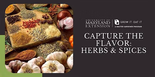 GIEI: Capture the Flavor: Herbs and Spices