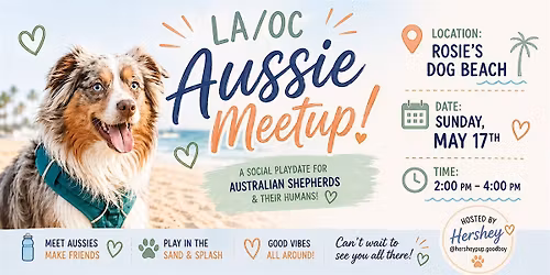 LA\/OC Australian Shepherd Meetup at Rosie\u2019s Dog Beach