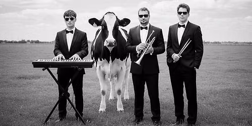 Combo Bleu Chaud in concert