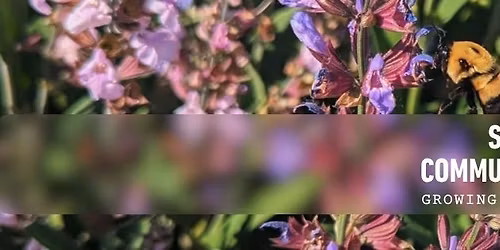 Build and Bloom at NEW Spanish Fork Garden 