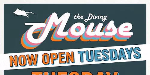 Tuesday Singo Night! 