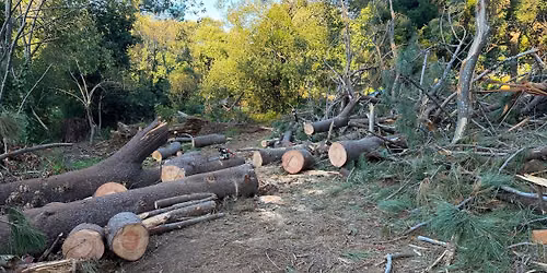 Diepriver Trail clean up