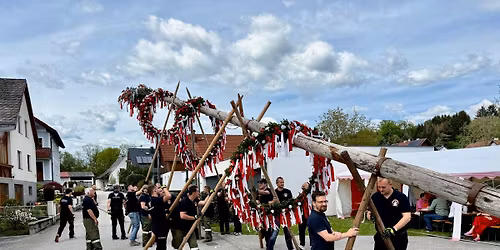 Maibaum 2026