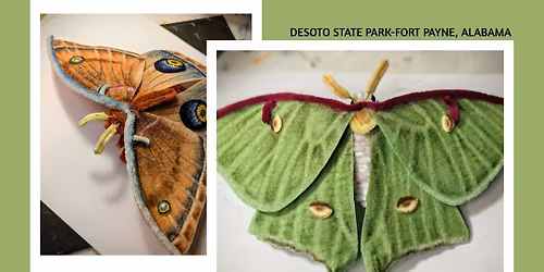 Artful Entomology: A Lifelike Insect Workshop