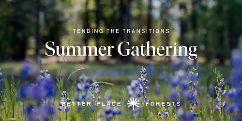 Santa Cruz Memorial Forest | Tending the Transitions Summer Gathering