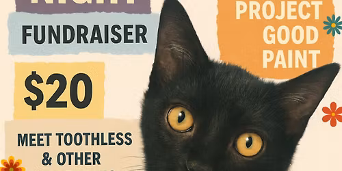 Collage Night! Fundraiser for Kitten \u201cToothless\u201d Hernia Repair!