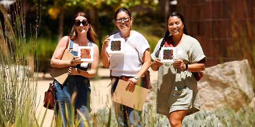 An Afternoon for Teachers | Slow Looking, Big Thinking: Summer Reset for Teachers