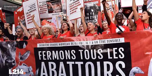 \ud83d\udce3 11\/07 - Marche pour la fermeture des abattoirs 