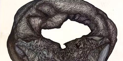 Revue de la Revue DESSEINS n-20