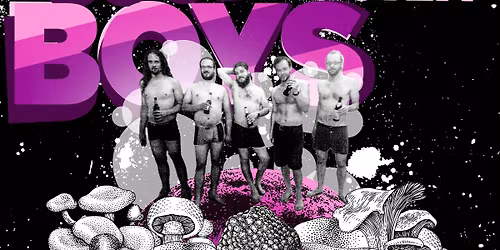 Bolle And The Very Good Looking Boys [D]