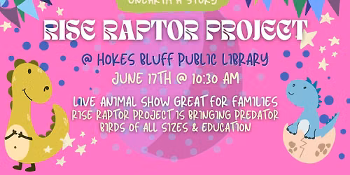Rise Raptor Project @ HBPL!