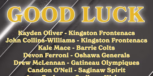 Brampton Steelheads vs. Sudbury Wolves