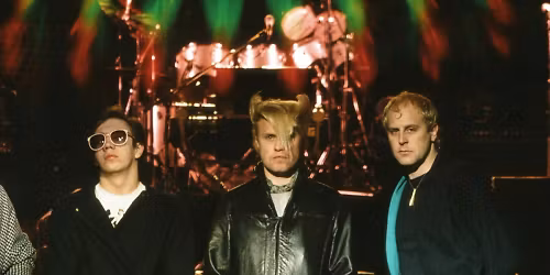 A Flock Of Seagulls in Wyandotte