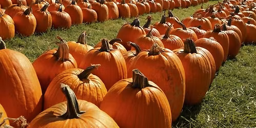 2025 Fall Vendor Fair- Terrace View Apartments