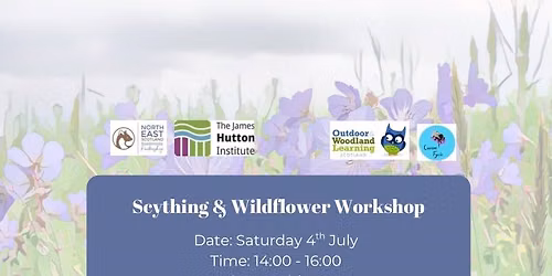 National Meadows Day - Wildflower & Scything workshop at Haddo House