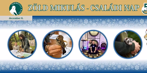 Z\u00f6ld Mikul\u00e1s - Csal\u00e1di Nap