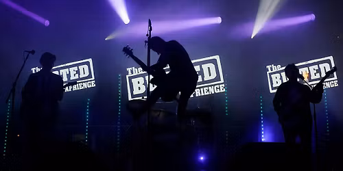 The Bust-Ed Experience (A tribute to Busted)