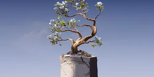 Beginner Bonsai Workshop November 21st 6PM